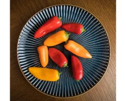 MIYA Company Aiya Navy 8-3/4