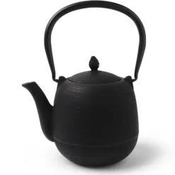 MIYA Company Cast Iron Teapot Black Jujube 0.9L Clearance