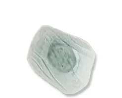 MIYA Company Coral Blue Plate Sale