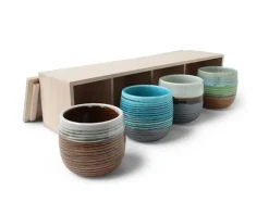 MIYA Company Haruto 8 Oz. Teacup Set Best