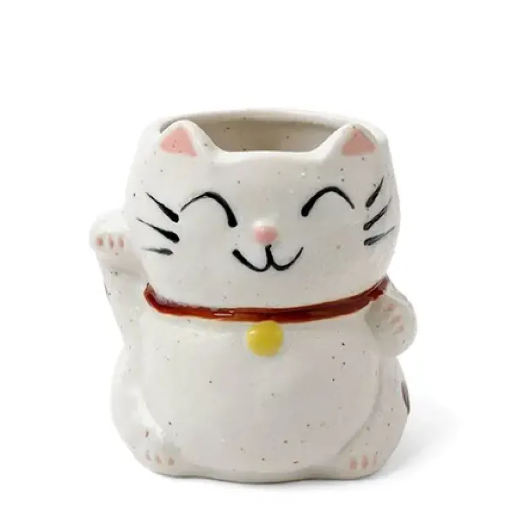MIYA Company Mug Cat White With Spots Hot